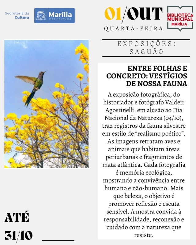 Evento entre-folhas-e-concreto-vestigios-de-nossa-fauna---exposicao--