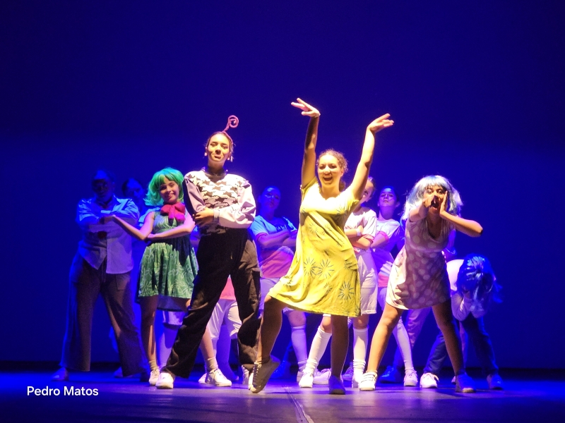 Galeria festival-internacional-marilia-dance-festival-2026-